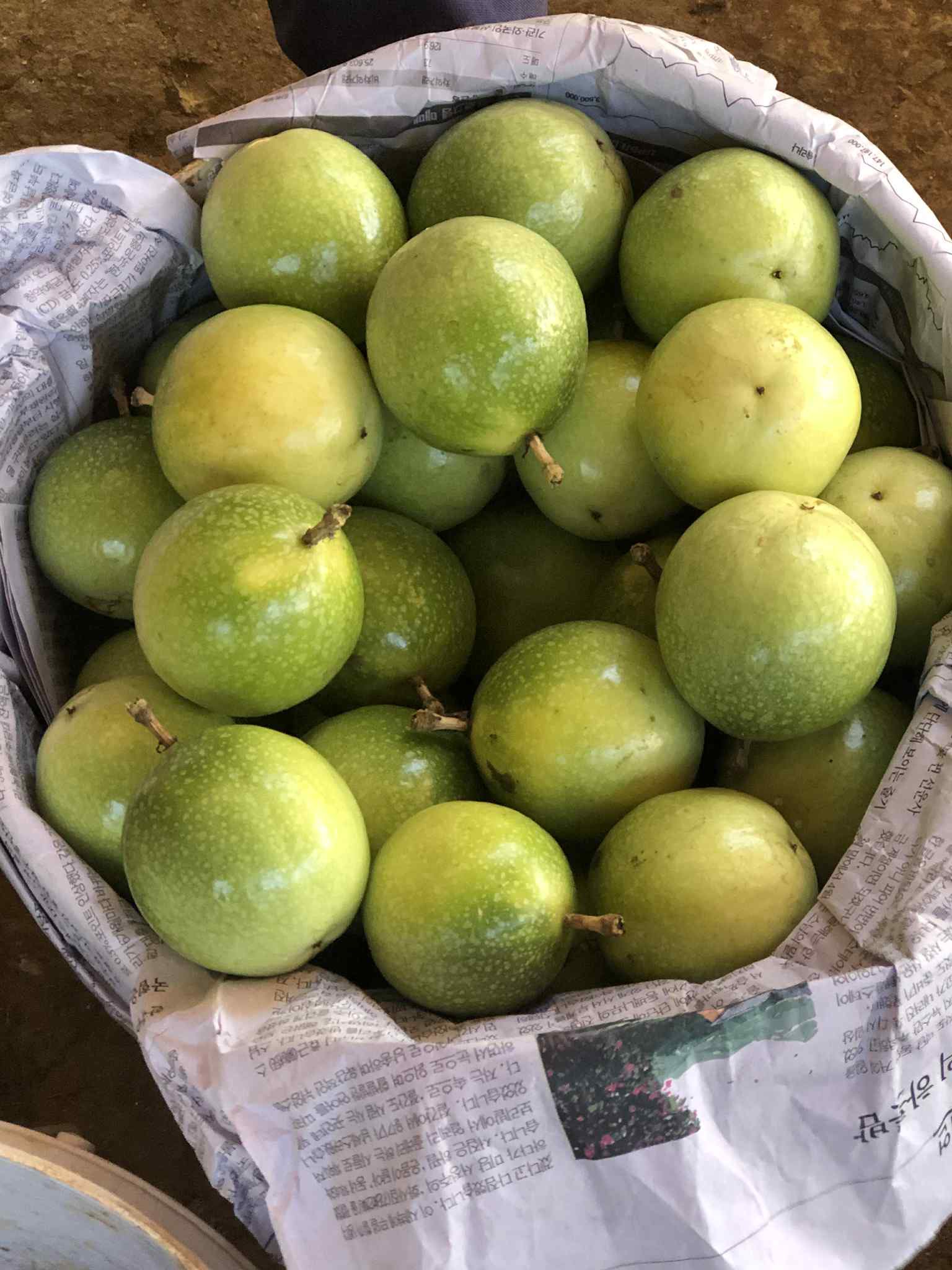 Thu hoạch chanh dây vàng (thường)