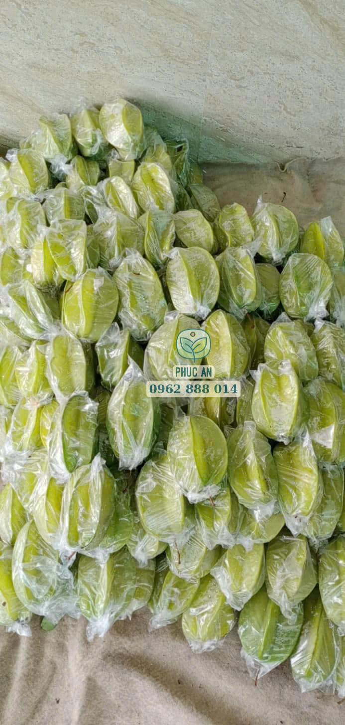 Cây giống khế chua 26 Thu hoạch quả khế chua tươi sạch tại vườn giống Phúc An
