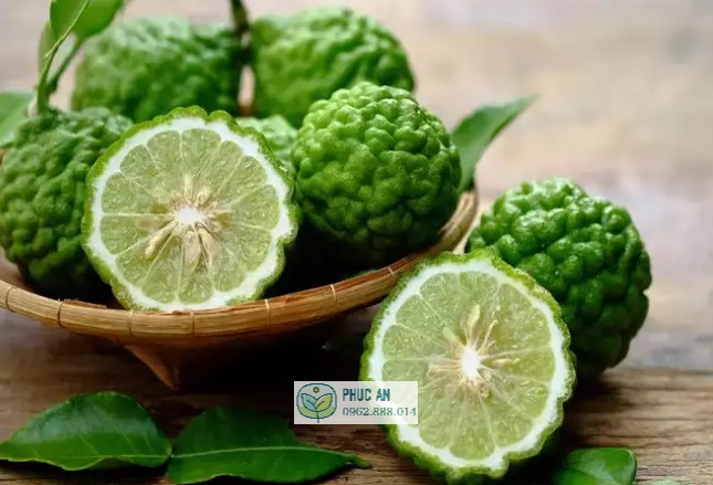 Cây giống chanh chúc (chanh Thái) 20 Bên trong trái chanh chúc