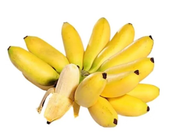 Cây giống chuối cau mẫn 27 Nải chuối cau mẫn thơm ngon