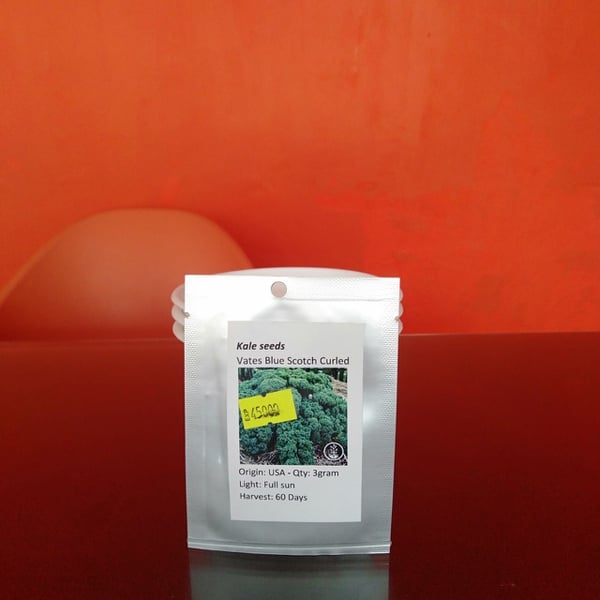 CẢI KALE