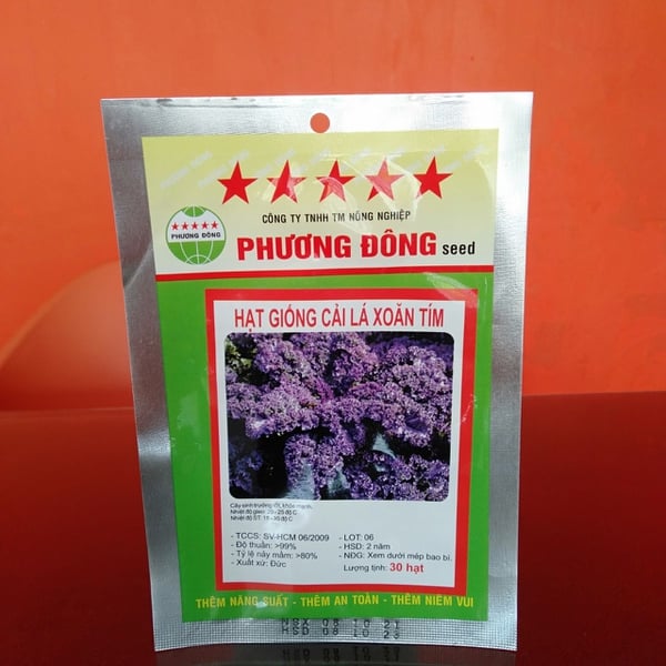 CẢI LÁ XOĂN TÍM