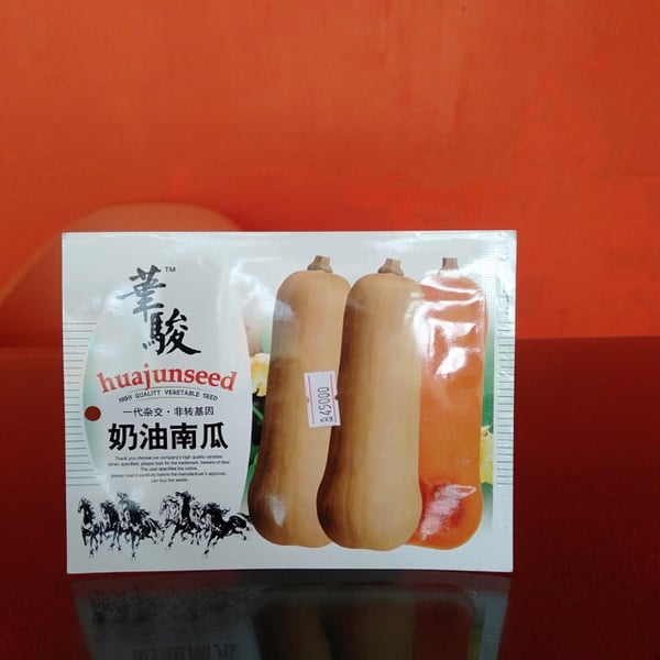 BÍ ĐỎ DÀI