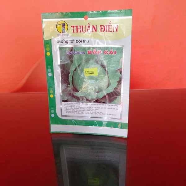 BẮP CẢI XANH