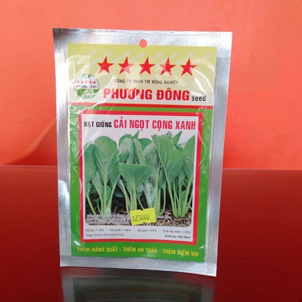 CẢI NGỌT CỌNG XANH