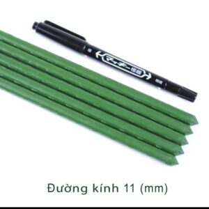 Ống Thép Bọc Nhựa Làm Giàn phi 11