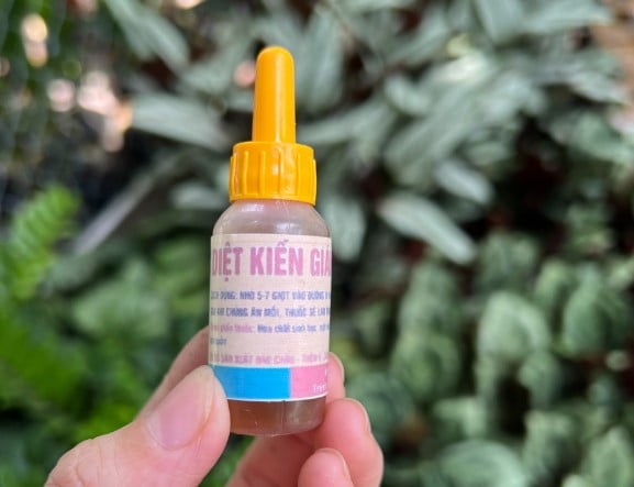 Thuốc diệt kiến gián