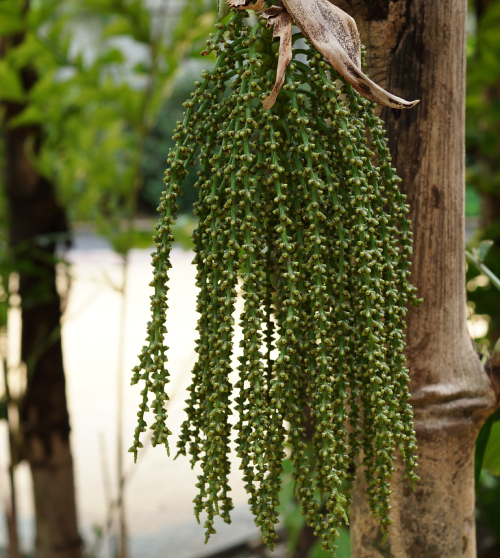 Đủng đỉnh 4