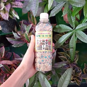 Chai phân bón NPK hỗn hợp 16-16-16