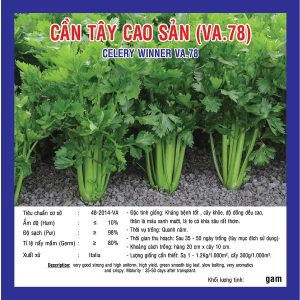 Hạt giống cần tây cao sản ( VA.78 ) – Việt Á High Quality Seeds
