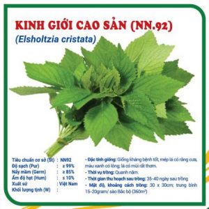 Hạt giống kinh giới cao sản ( N.92 ) – NN1