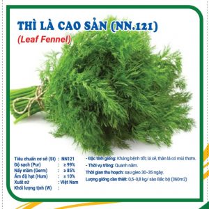 Hạt giống thì là cao sản ( N.121 ) – NN1