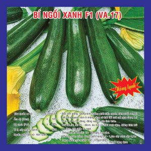 Hạt giống bí ngồi xanh F1 ( VA.17 ) – Việt Á High Quality Seeds