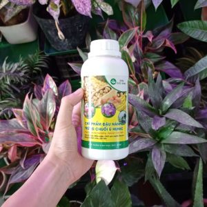 Chế phẩm sinh học ĐỨC BÌNH – Chế phẩm đậu nành, trứng, chuối ủ Humic