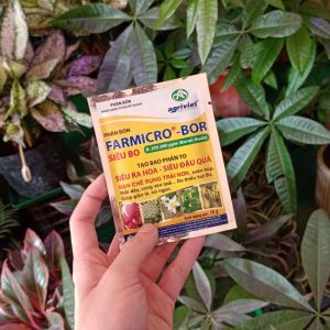 Phân bón siêu Bo FARMICRO – BOR tạo bao phấn to, siêu đậu quả, hạn chế rụng trái non, cong vẹo quả, … do thiếu hụt Bo