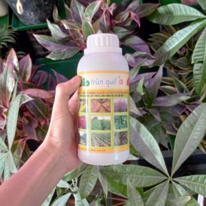 Dung dịch Bio trùn quế 01 kích thích tăng trưởng cây trồng