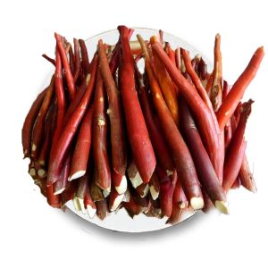 Dược liệu sâm cau đỏ