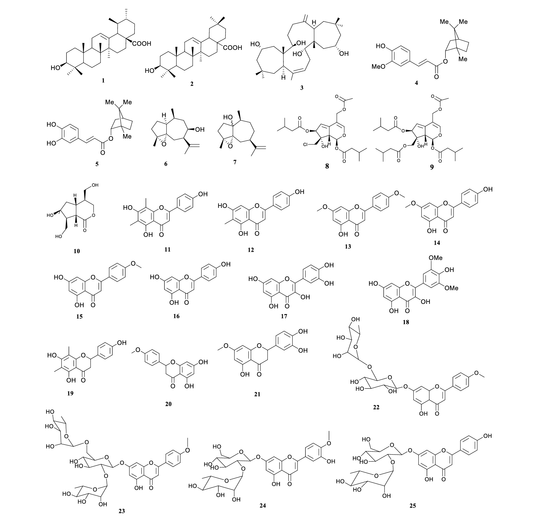 Về Nữ Lang 1