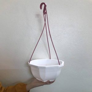 Chậu nhựa treo lục giác màu trắng