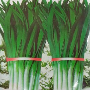 Hạt giống hẹ xanh cao sản ( 1 gói/10 gram hạt ) – High Quality Seeds