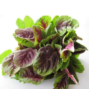 20gram hạt giống rau dền khoang