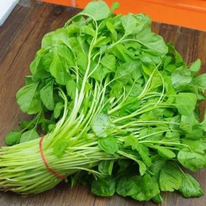 20gram hạt giống rau dền xanh lá tròn