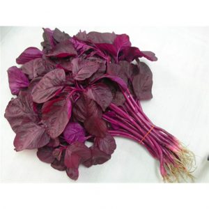 20gram hạt giống rau dền đỏ lá liễu