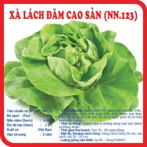 Hạt giống xà lách đăm ( mỡ ) cao sản ( N.123 ) – NN1