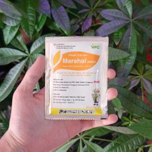 Thuốc trừ sâu Marshal 200SC trừ sâu đục thân, rầy nâu hại lúa và rệp sáp, ve sầu hại cà phê