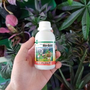 Phân bón vi lượng SIAMB3 Bio Gold dạng dung dịch trồng thủy canh, thủy sinh