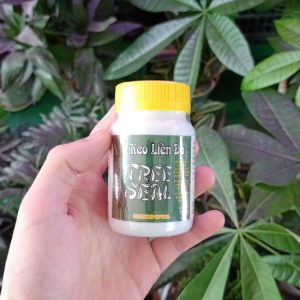 Keo liền da TREE SEAL – Nhập khẩu từ Mỹ