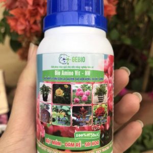Bio Amino Vit – HH – Chế phẩm vi sinh bón lá chuyên cho hoa hồng và cây cảnh