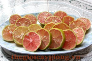 Giống cây chanh đào Giống cây chanh đào