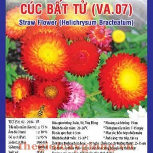 CÚC BẤT TỬ