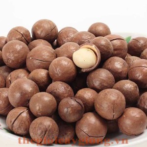 Giống cây mắc ca