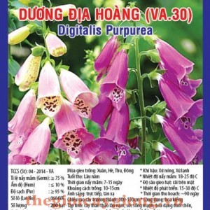 DƯƠNG ĐỊA HOÀNG