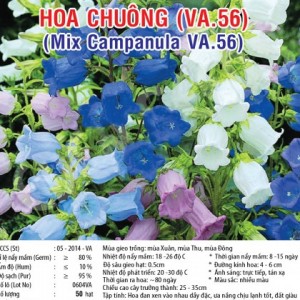 HOA CHUÔNG