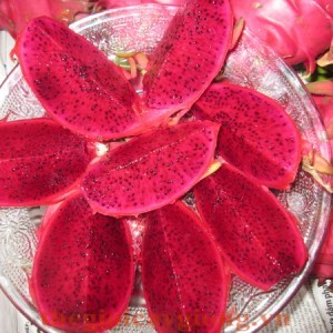 Giống cây thanh long ruột đỏ