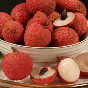 Giống cây vải thiều