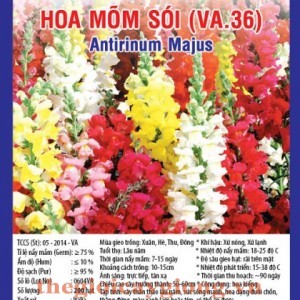 HOA MÕM SÓI