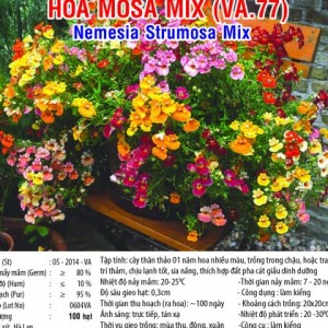 HOA MOSA MIX