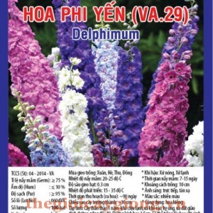 HOA PHI YẾN