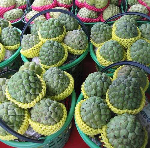 Na đài Loan 2