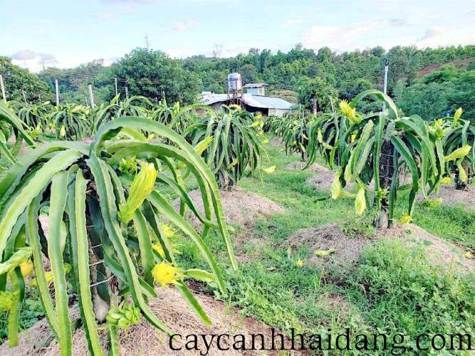 Images3048150 2 (1)