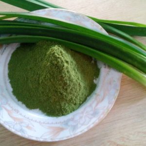 Bột lá cẩm tím