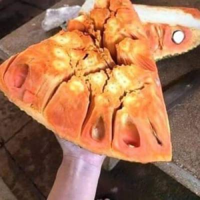 Vị ngon của mít ruột đỏ rất khó cưỡng