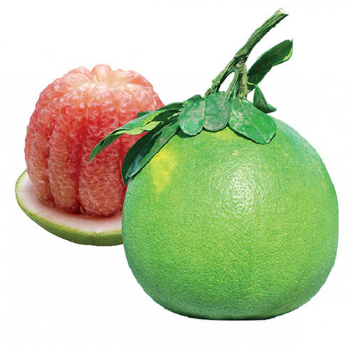 Product5778