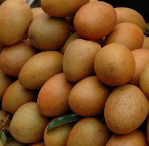 Quả hồng xiêm ruột đỏ nhiều dinh dưỡng