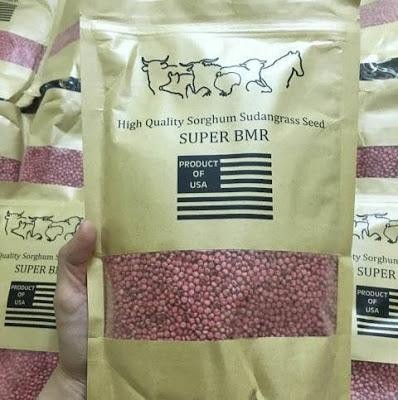 giong-co-lai-super2