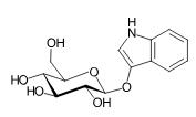Chàm 5
